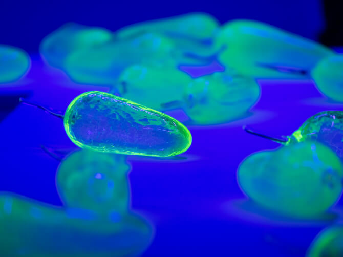 ブラックライトに照らされて蛍光色に発光するウランガラス作品のクローズアップ。