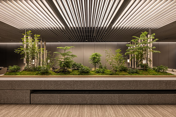 Planting area in the center of the lounge. A variety of greenery coexists in this landscape, creating a sense of nature within the city.
